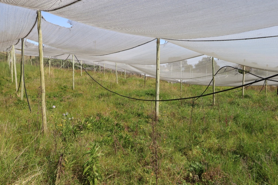 Commercial Property for Sale in Chelsea Eastern Cape